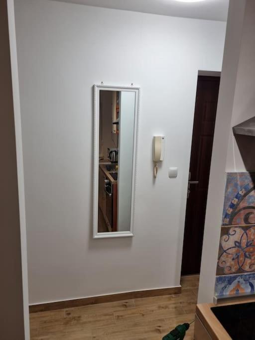 Studio Apartman Bojana 34M2,Free Wifi,Parking ซิซัค ภายนอก รูปภาพ